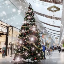 Vánoční strom rádia KISS ve Zlíně a Uherském Hradišti
