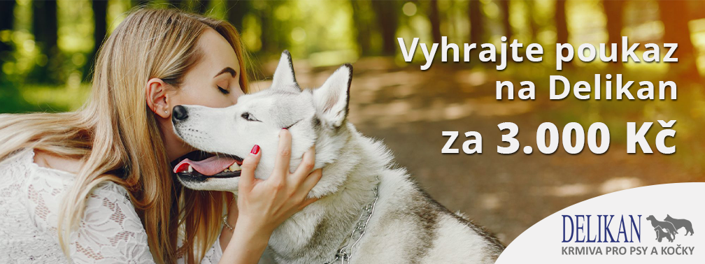 Vyhraj na Kissu krmivo DELIKAN