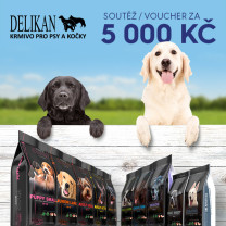 Vyhraj na Kissu krmivo DELIKAN